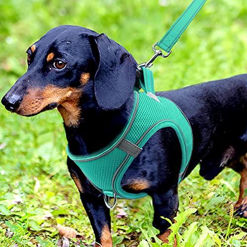 Joytale Step in Dog Harness,12 Colors,Breathable Mesh Vest Harness,Reflective Soft Padded Harnesses for Small and Medium… - Image 2