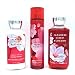 Bath & Body Works (Japanese Cherry Blossom) Gift set Full size
