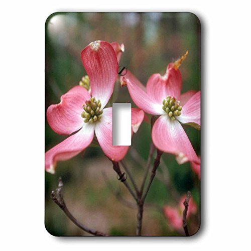 Interrupteur cornouiller unique 3dRose pour remplacer une plaque murale blanche et triste