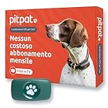 PitPat Localizzatore GPS per cani, non richiede abbonamento, adatto a tutti i cani e si adatta a tutti i collari, smart activity tracker, tracciamento satellitare con portata illimitata (Verde)