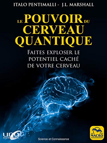 Télécharger Le pouvoir du cerveau quantique: Faites exploser le potentiel caché de votre cerveau (Science et Co livre En ligne