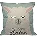 HGOD DESIGNS No Drama Llama Throw Pillow Cover,Cartoon Alpaca No Prob Llama Motivational and Inspirational Quote Sleep Eyelash Decorative Pillow Cases Cushion Covers for Home Sofa Couch 18x18 inch