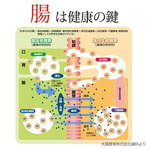 【数量限定】大高酵素 発酵野菜サプリメント フリカケワン 1kg入り袋(100g Amazon | 大高酵素 発酵野菜サプリメント フリカケワン 1kg入り袋(100g