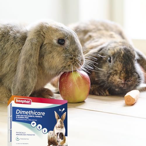 Beaphar - Dimethicare Line-On - Mite, Flea and Lice Control for Rabbits, Guinea Pigs & Ferrets – 3 treatment pack - Physically Immobilises Parasites - Pesticide-Free - From 12 weeks old - Image 8