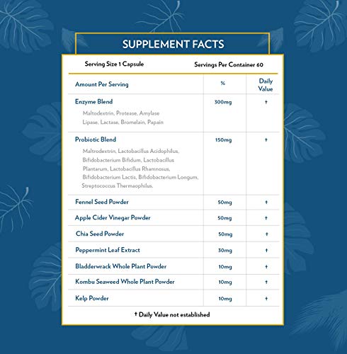 Terra Origin - Digestive Enzymes With Probiotics | Supports Healthy Digestion | Bromelain, Lactase, Amylase, Lipase | Made In The Usa, Gluten-Free | 60 Servings #TOP6