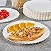 JOLLY PARTY 8.5 inch Paper Plates Uncoated,600 Count Everyday Disposable Plates, Light Weight Paper Plates White, Round Dinner Plates, Large Plate Lunch, for Home and Office