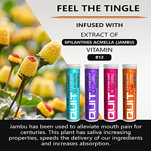 Image of Xero Picks Infused Flavored Toothpicks to Help Quit Smoking - Nicotine Free - 60 Picks (3 Packs) (Cool Mint) Non-GMO Kosher Vegan