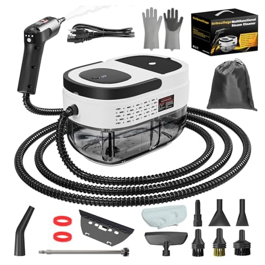 High Temperature Handheld Steam Cleaner