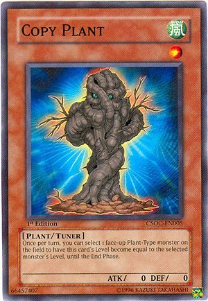 Yu-Gi-Oh! Karte – Sweet Corn (ORCS-EN092) – Common, 1st Edition – Aus Order Of Chaos Set – Sammler- Oder Spielkarte