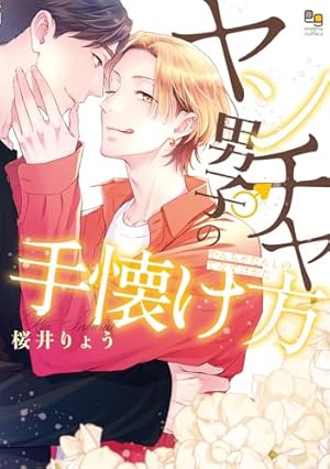 不惑近くして年下男に惑う (オークラコミックス) | 桜井りょう |本