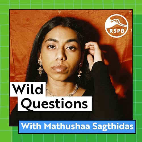 Do Worms Have Eyes? (Mathushaa Sagthidas)