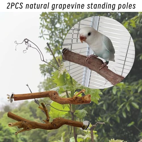 Image of Hamiledyi Bird Perch Natural Wooden Parrot Stand Branch Grapevine Wood Perch Bird Chewing Stick for Small Lovebirds Cockatiels Parakeets Finches(2 PCS)