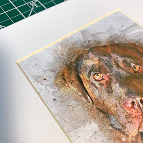 The Pawp Shop Grey Pit Bull Dog Watercolor Art Print In Various Sizes, Blue Nose Pitbull Wall Decor For A Nursery thumb #7