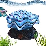 Doiyislem Cueva para Acuario,Decoración de Hábitat con Concha - Accesorios Acuáticos para Agua Dulce y Salada,Escondite para Tanques De Rincon Casa Dormitorio Terrario Escuela Restaurante