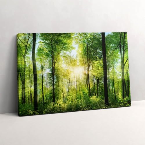 Peinture sur toile art mural forêt et tableau photo 60x40