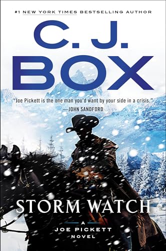 Storm Watch view 2