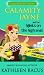 Calamity Jayne and the Hijinks on the High Seas (Calamity Jayne #6) (Calamity Jayne Mysteries)