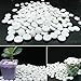 Flat Glass Marbles for Vases - 5 LB White Decorative Stone Beads for Vases, Crafts, Colored Rocks Table Scatter, Aquarium and Fish Tank Pebbles, Party Centerpieces, Gem Décor, Mosaics, Floral Displays