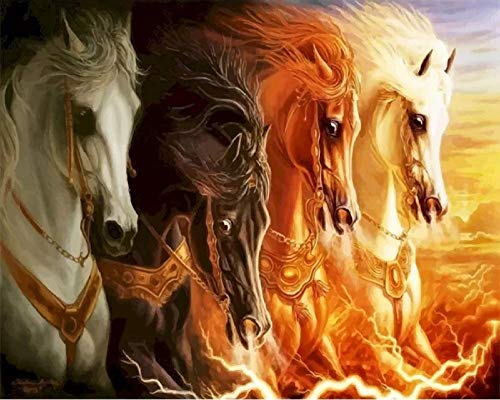 Peinture à l'huile par chiffres Decor de peinture acrylique adulte pour adulte pour la maison Photos de Numéros Animal Handmade Cadeau Art mural 40x50cm
