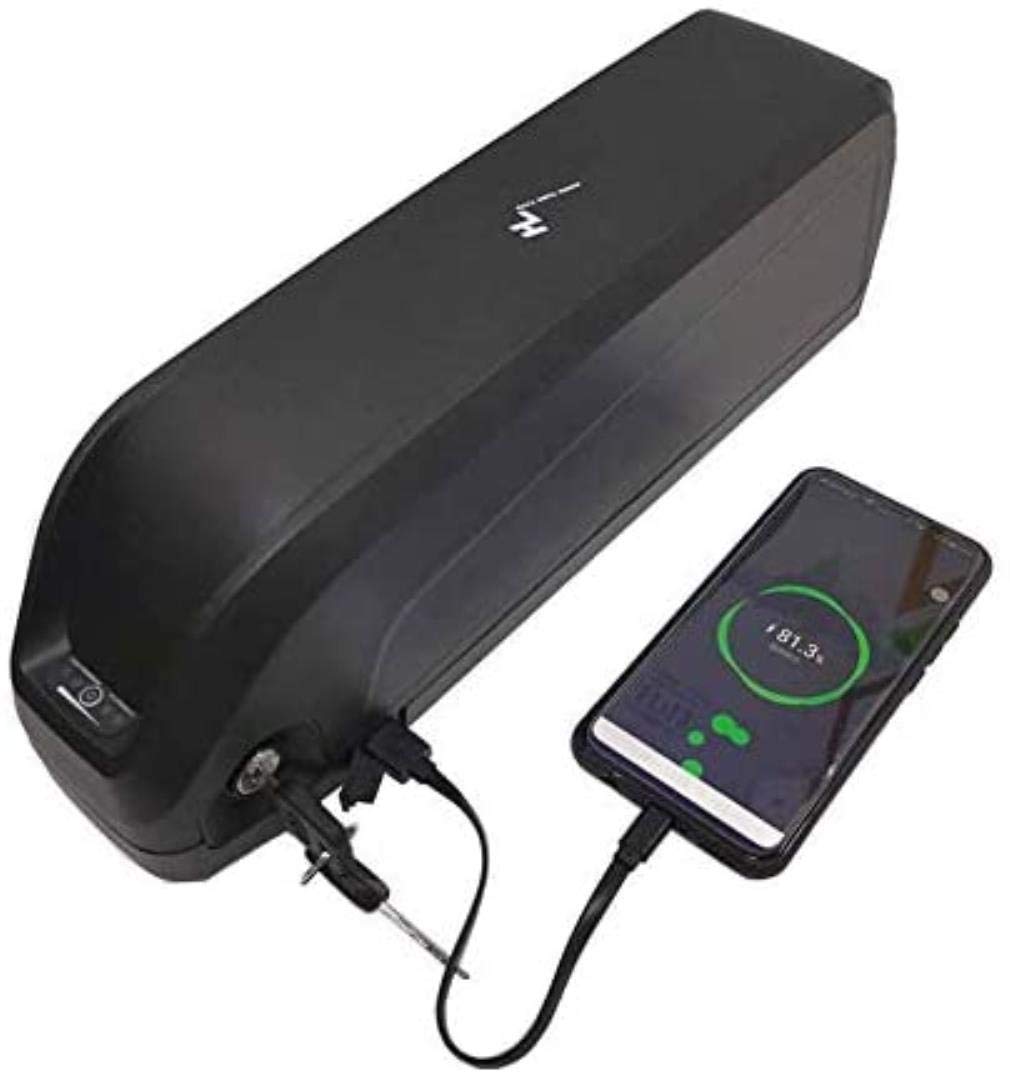 Buy bike motor EBike Battery Lithium Liion Battery Ebike Battery 48V