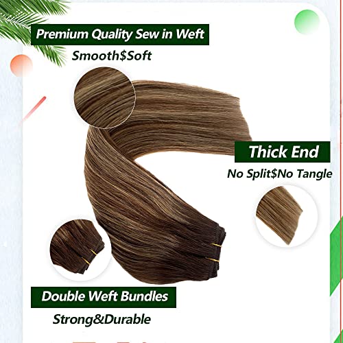 Sew In Weft Hair Extensions Human Hair, Brown To Golden Brown With Blonde Highlights Human Hair Sew In Extensions, Hand Tied Wefts Human Hair Ombre Sew In Hair Extensions Real Human Hair 12Inch 80G #TOP4