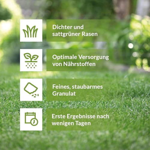 Terrauno Rasensamen Schnellkeimend – 1 Kg Für 50 M², RSM-Qualität, Trockenresistent – Perfekt Für Nachsaat & Lückenschließung – Erste Ergebnisse Nach 14 Tagen