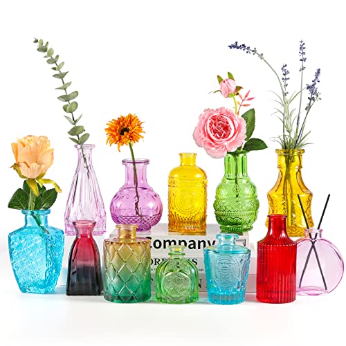 Bigivaca Small Glass Bud Vases Set Of 12,Mini Coloful Bud Vases In Bulk,Small Flower Vases For Centerpieces,Vintage Embossed Style Glass Bottles For Rustic Wedding,Home,Table Decor #TOP5