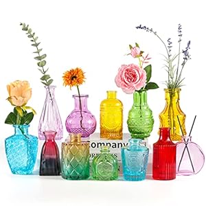 BIGIVACA Small Glass Bud Vases Set of 12,Mini Coloful Bud Vases in Bulk,Small Flower Vases for Centerpieces,Vintage Embossed Style Glass Bottles for Rustic Wedding,Home,Table Decor
