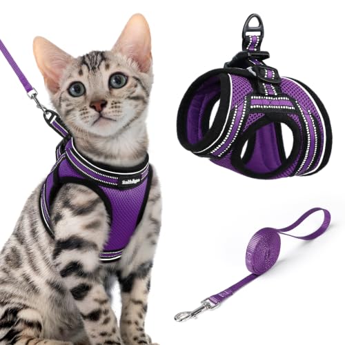 Image of rabbitgoo Cat Harness and Leash Set, Step-in Soft Vest, Purple | Escape Proof, Lightweight, Easy-on & Adjustable, Hook & Loop with Buckle, Reflective, for Small Cats Walks, XL