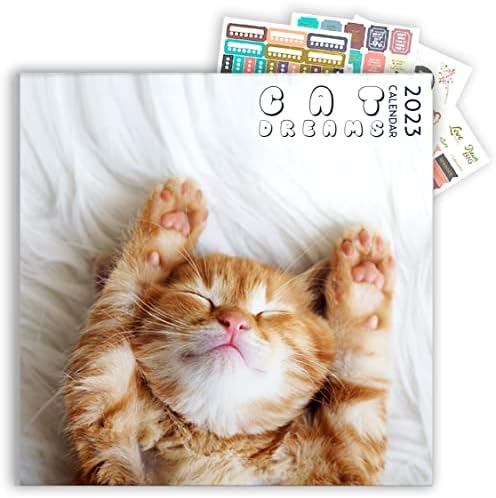 Cat Calendar 2023 with Sticker Pack, Kitten Square Large Wall Calendar 12 x 12 inch, Yearly Cat Lover's Calendar and Sticker Set