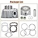 Cylinder Piston Rings Kit Bore 200cc Replacement for Honda ATC 200 196CM3 63.5mm