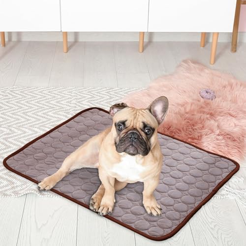 Kühlendes Welpenpaket – Haustiermatte für den Sommer, Schlafkissen aus Emaille | kühles Bett Oberfläche für Hundehütte, Autositz, Liegestuhl, Sofakissen, Reve
