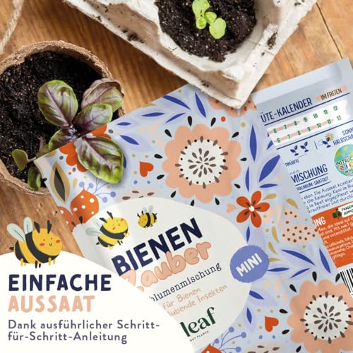 valeaf Bienen Blumensamen I Blumensamen als Wildblumen I Blumen Samen Saatgut I Bienenwiese Saatgut I Bienenmischung Samen I Blumensamen Bienenwiese I Bienenwiese Saatgut (Bienen-Zauber mini)