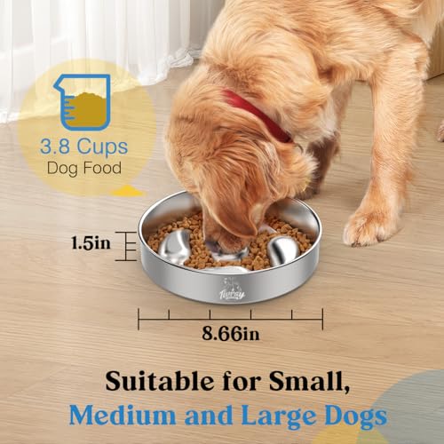 Tivray-Slow-Feeder-Dog-Bowls-304-Stainless-Steel-Dog-Slow-Feeder-Bowl-38-Cups-Metal-Dog-Food-Bowl-with-Non-Slip-Bottom-Anti-Gulping-Slow-Eating-Dog-Bowl-for-Medium-Large-Breed-Dishwasher-Safe