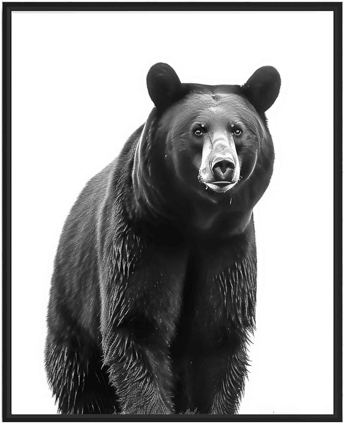 Pósteres Con Impresiones De Osos Negros, Fotografía De Animales En Blanco Y Negro, Lienzo Para Pared, Decoración Minimalista Para El Hogar, 50X70 Cm, Sin Marco