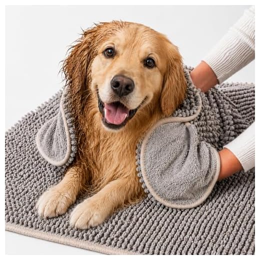 Pet 2-in-1 Towel & Mat for Dogs