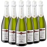 Elaborado a partir de una selección de variedades de uva Chardonnay, Xarel-lo y Macabeo, siguiendo un proceso de maduración de 15 meses bajo un estricto control de temperatura