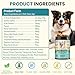 Probiotics for Dogs Gut Digestive Health Probiotic Chew for Dogs Digestive Enzymes Relieve Diarrhea Immunity Oral Problems Itching Constipation Prebiotics Dog Probiotics 200 Tablets Chicken Flavor