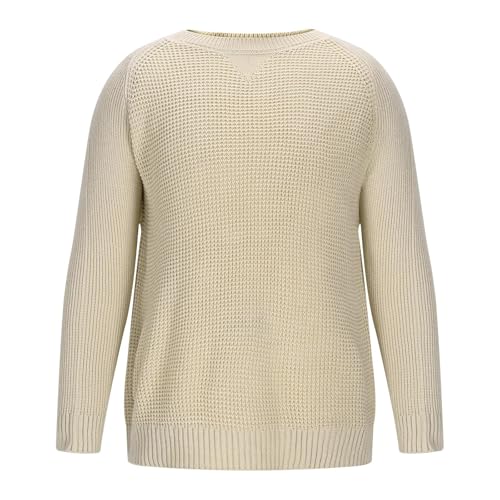 Fall Sweater for Men Long Sleeve Crew Neck Sweater Loose Fit Business Casual Pullover Sweater Fashion Streetwear