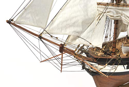 Occre 12005 Hms Beagle Detailed Scale Modelling Kit #TOP1