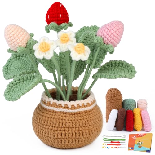 Image of kgxulr Crochet Kit, Strawberry Beginner Crochet Kit for Adult, Knitting Kit