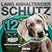 ZENITHIA Zeckenhalsband für Hunde - Flohhalsband hundeFlohschutz Halsband für Hunde – Zeckenhalsband - 100% Natürlich - Schutzhalsband gegen Flöhe - 12 Monate Schutz – 65 cm verstellbar (2 Einheiten)