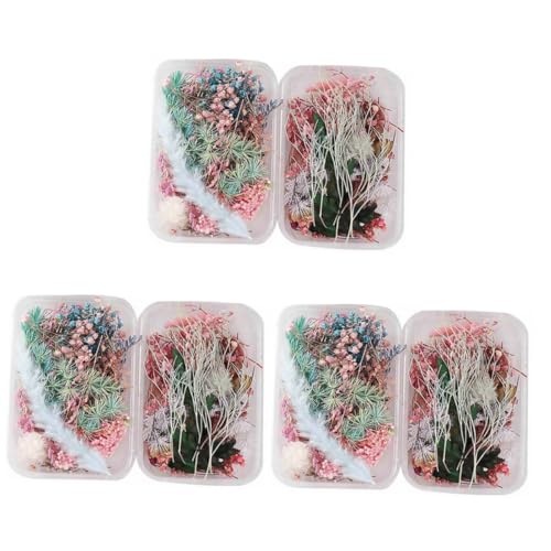 Luxshiny 6 Caixas Flores secas de aromaterapia decoração escritório decoracao escritorio flores seca