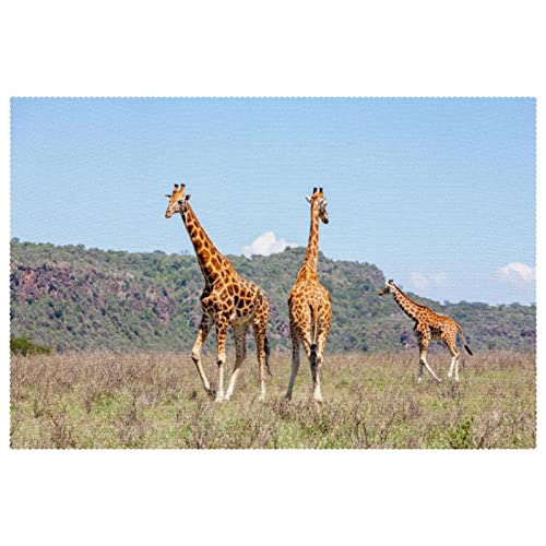 Sets de table girafe pour proteger les tables des taches et chocs - 2