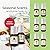 Winter Essential Oil Set of 6 Fragrance Oils - Christmas Wreath Pine, Vanilla, Peppermint, Cinnamon, Sugar Cookie, and Gingerbread by Good Essential Oils