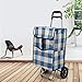 Wózki na zakupy wózek na zakupy mały domowy składany wózek przyczepa stary człowiek wspinaczka schody przenośne (niebieski szary, kwadratowy styl, podwójne koło)