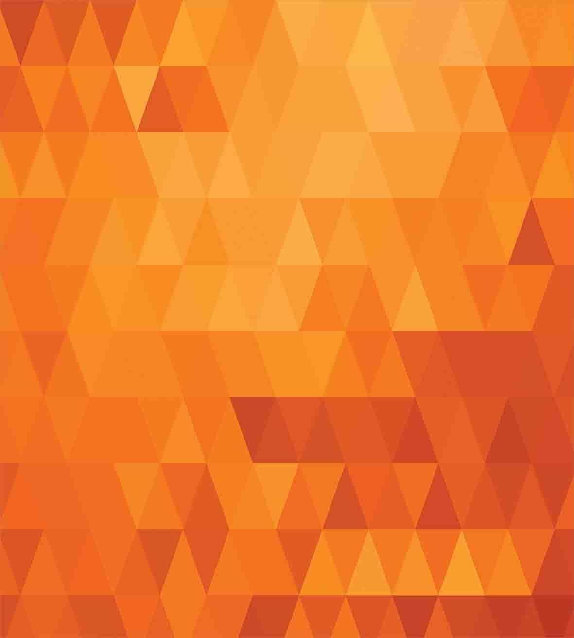 Ambesonne Orange Duvet Cover Set, Triangle Mosaic Shapes and Patterns with Abstract Digital Pixel Like Effect Print, Decorative 3 Piece Bedding Set with 2 Pillow Shams, Queen Size, Burnt Orange
