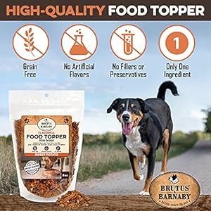 Brutus Barnaby Canine Meals Topper Beef Liver Improve Your Canines Meal with This Taste Packed Combine Sprinkle on Canine Meals Flavoring for Choosy Eaters Simply One Single Ingredient Cucciolini Doodles Brutus barnaby canine meals topper beef liver improve your canines meal with this taste packed combine sprinkle on canine meals flavoring for choosy eaters simply one single ingredient cucciolini doodles