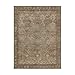 Bavni Washable Rug 8x10 Area Rug for Living Room Bedroom Dining, Washable Vintage Print Carpet, Ultra-Thin Chenille Low Pile Lightweight Rug with Non Slip Backing, Warm Taupe