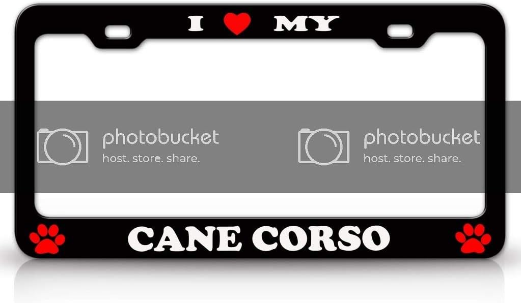 I Love My Cane Corso Dog Pet Animal Metal Car SUV Truck License Plate Frame Bl z18
